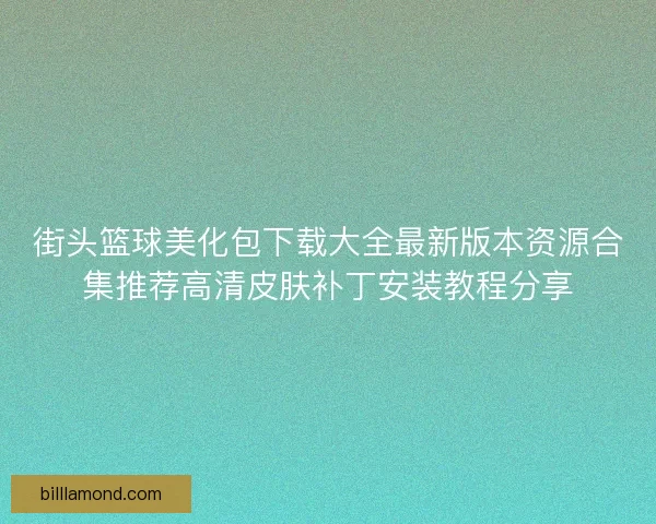 街头篮球美化包下载大全最新版本资源合集推荐高清皮肤补丁安装教程分享