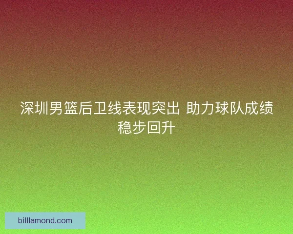 深圳男篮后卫线表现突出 助力球队成绩稳步回升